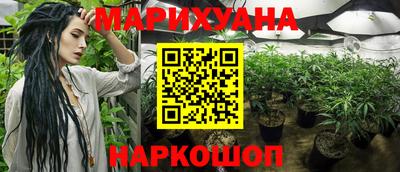 каннабис Славгород