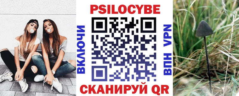 Галлюциногенные грибы GOLDEN TEACHER  Томск 